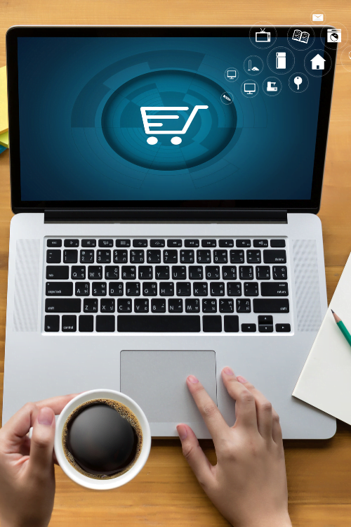 11_site-professionnel-ecommerce-woocommerce_analinks-1